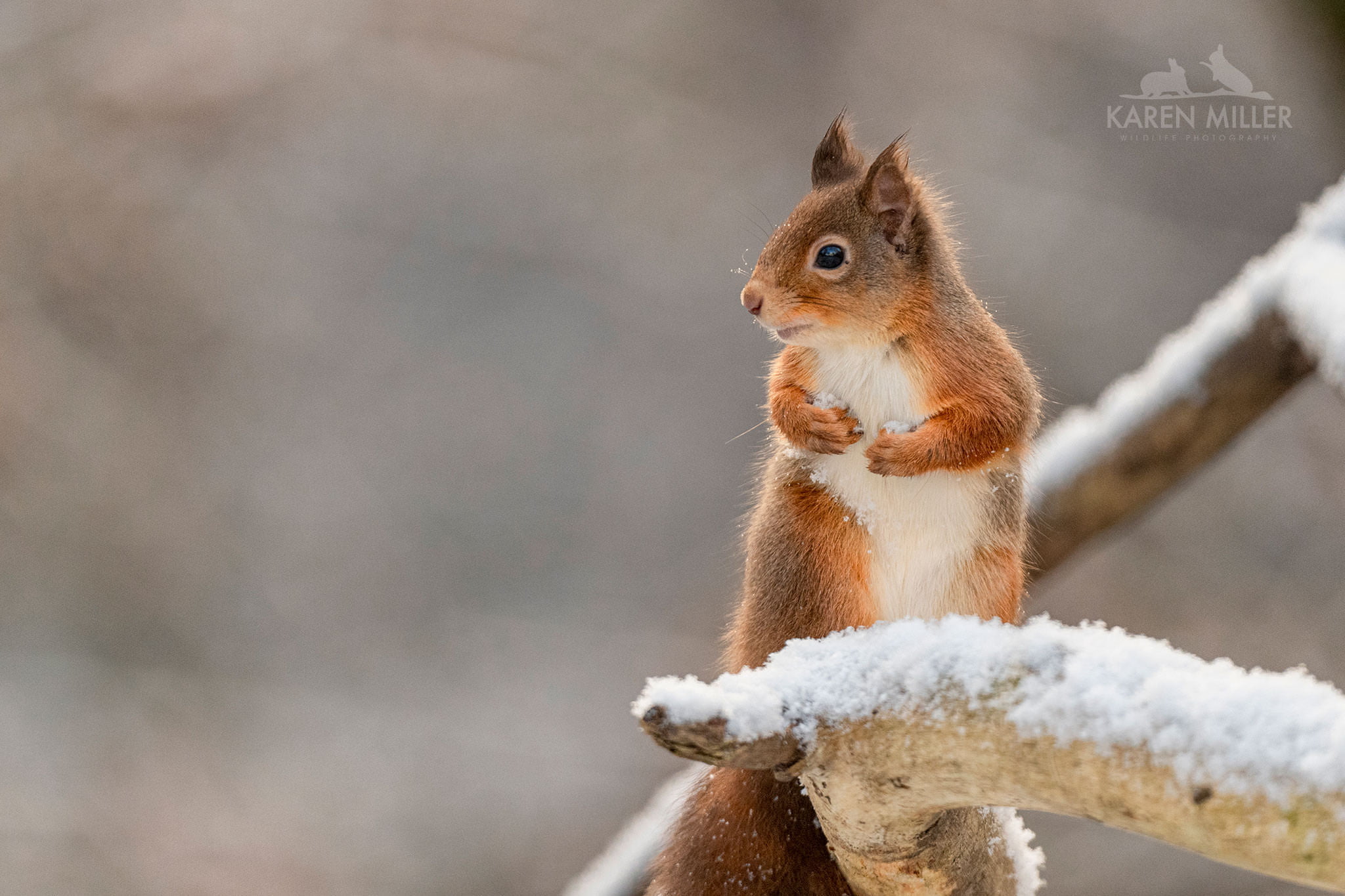 Wildlife Photography Holidays With Places Available Natureslens