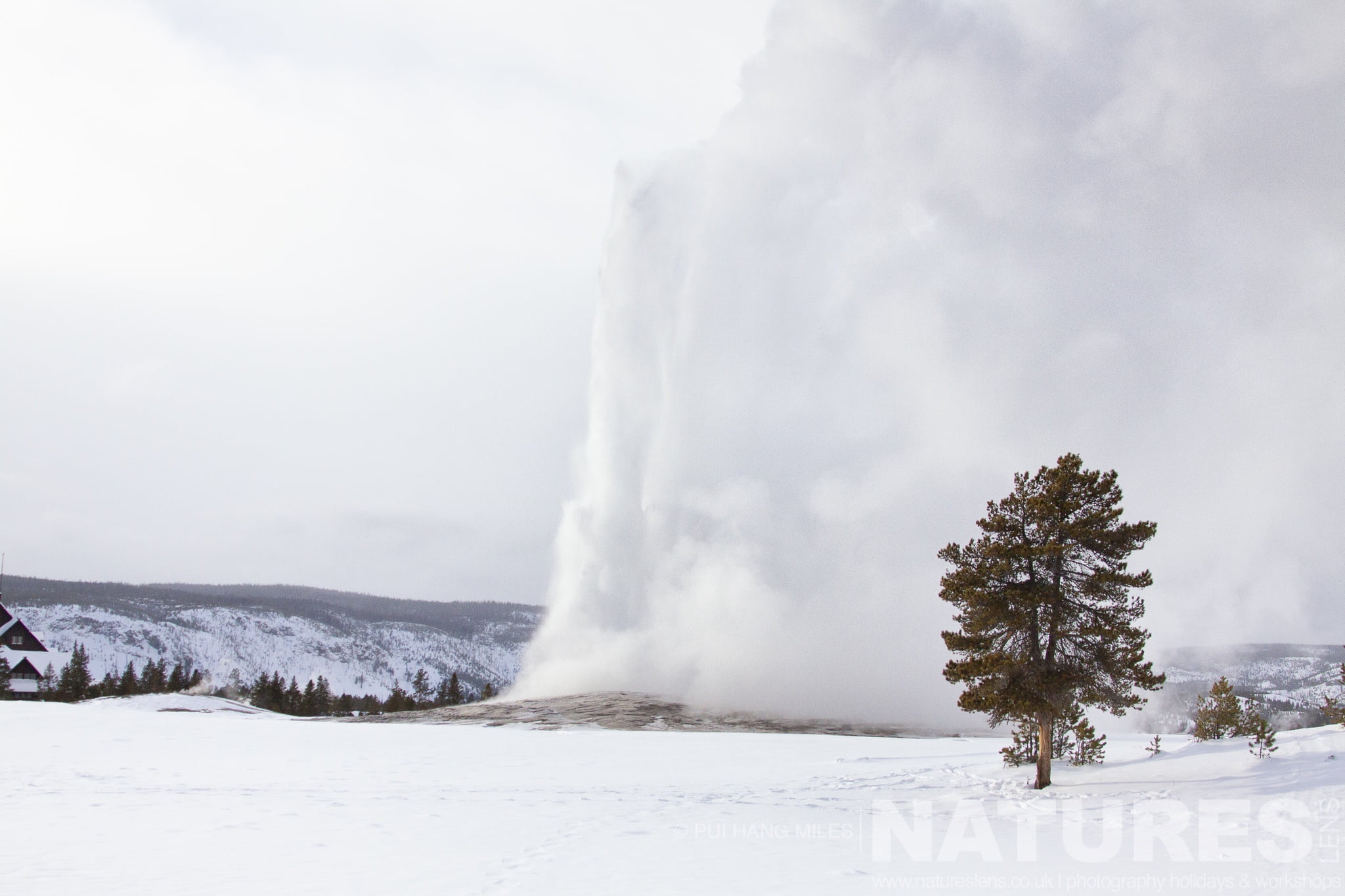Old Faithful, One Part Of The Geyser System Typical Of The Type Of Image That You Will Capture During The Wildlife Of Yellowstone In Winter Photography Holiday