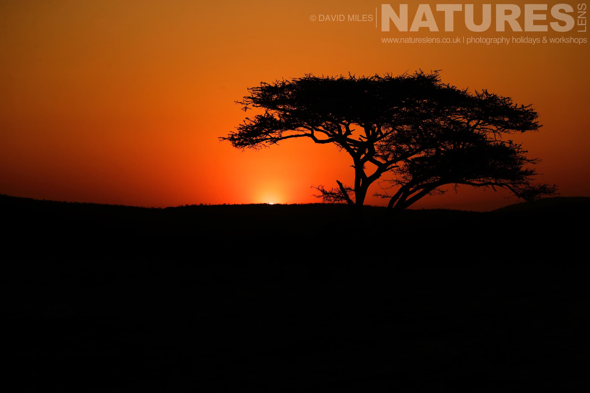 A Beautiful Sunset On The South African Plain