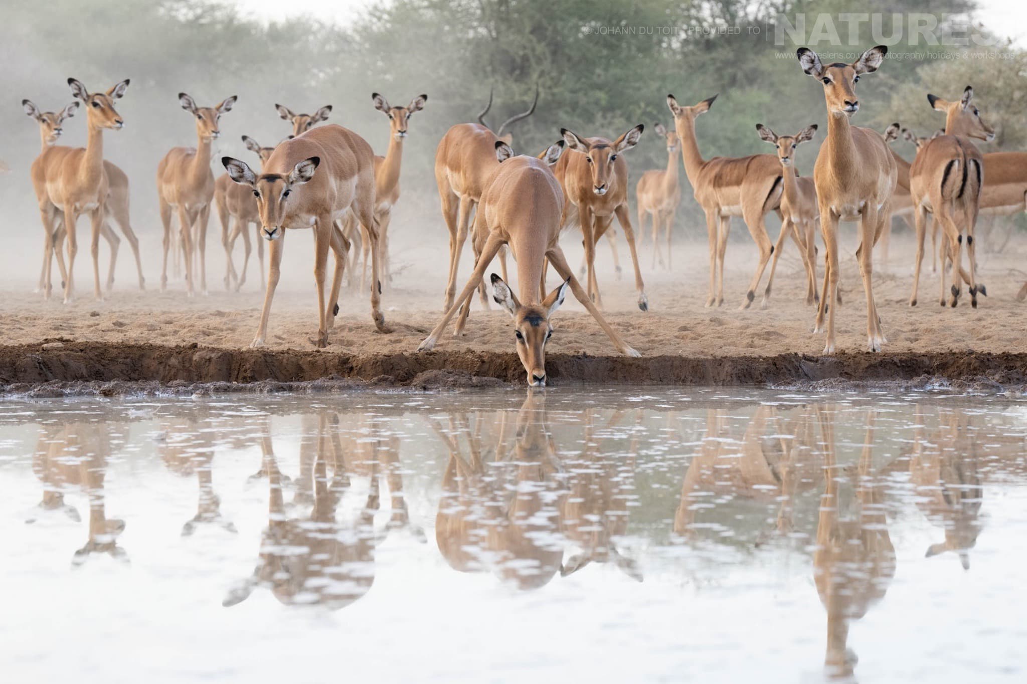 An Image Typical Of Those Captured At The Camp Used For The NaturesLens African Wildlife of the Great Rift Valley Photography Holiday