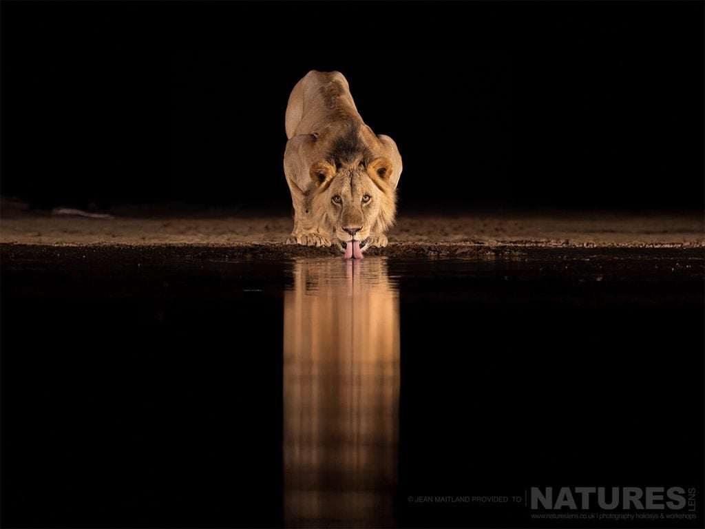 Photograph the Wildlife of Shompole with NaturesLens in 2026