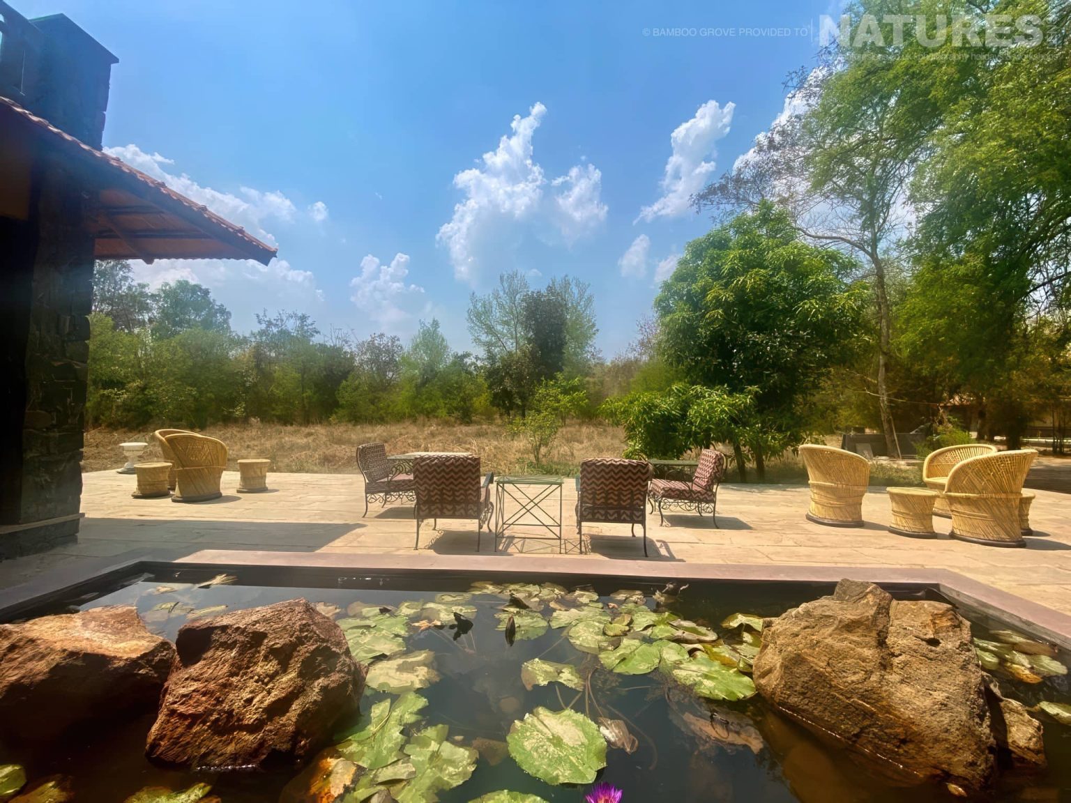 Bamboo Grove - the lodge in Bandhavgarh that NaturesLens are using in 2026