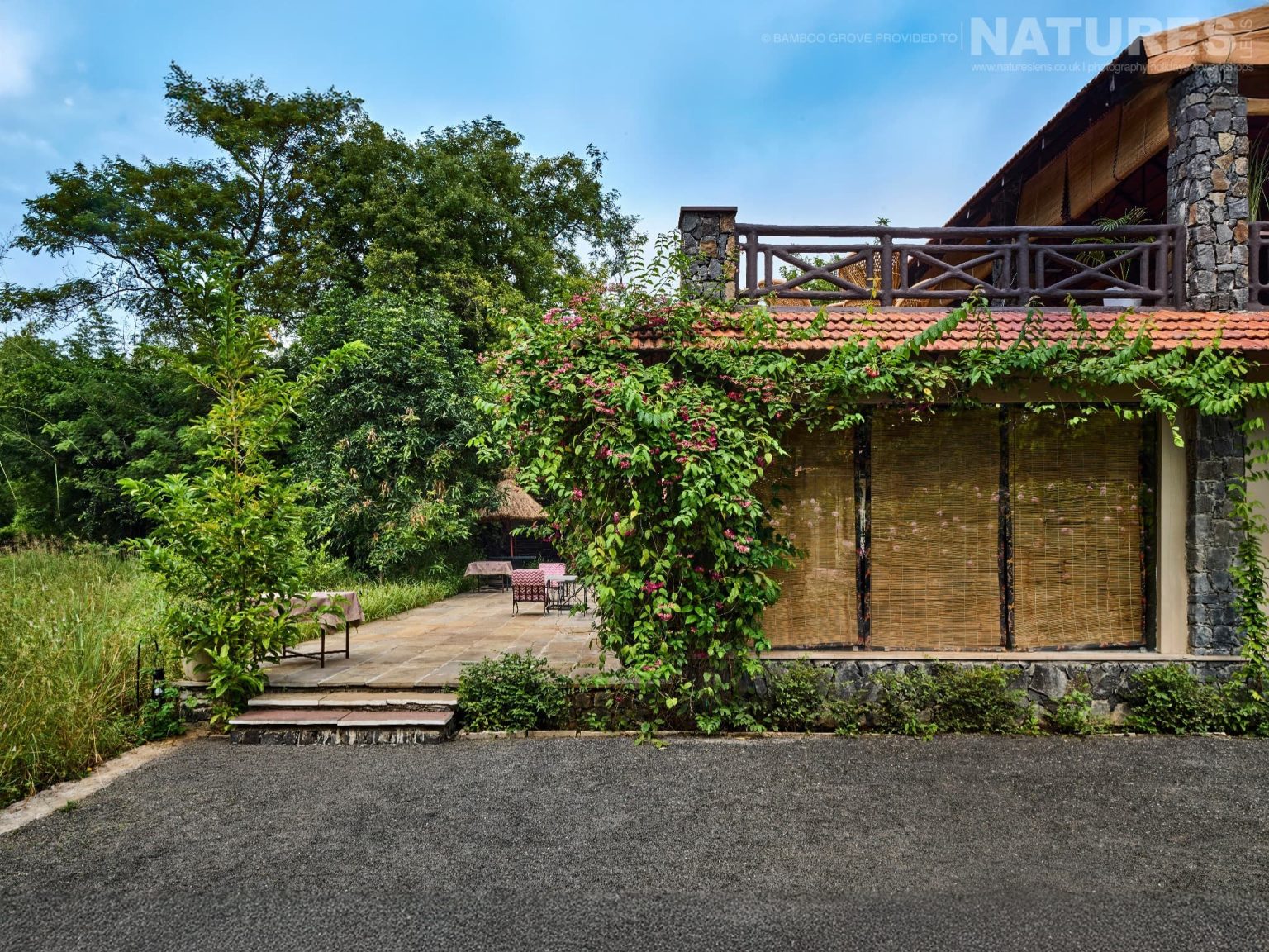 Bamboo Grove - the lodge in Bandhavgarh that NaturesLens are using in 2026