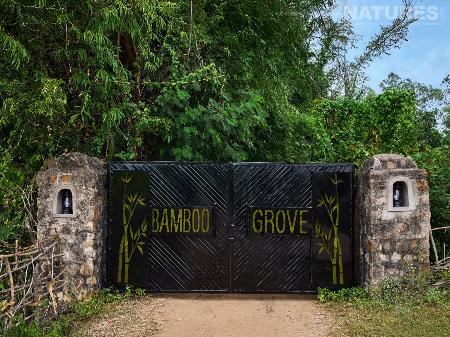 Bamboo Grove - the lodge in Bandhavgarh that NaturesLens are using in 2026