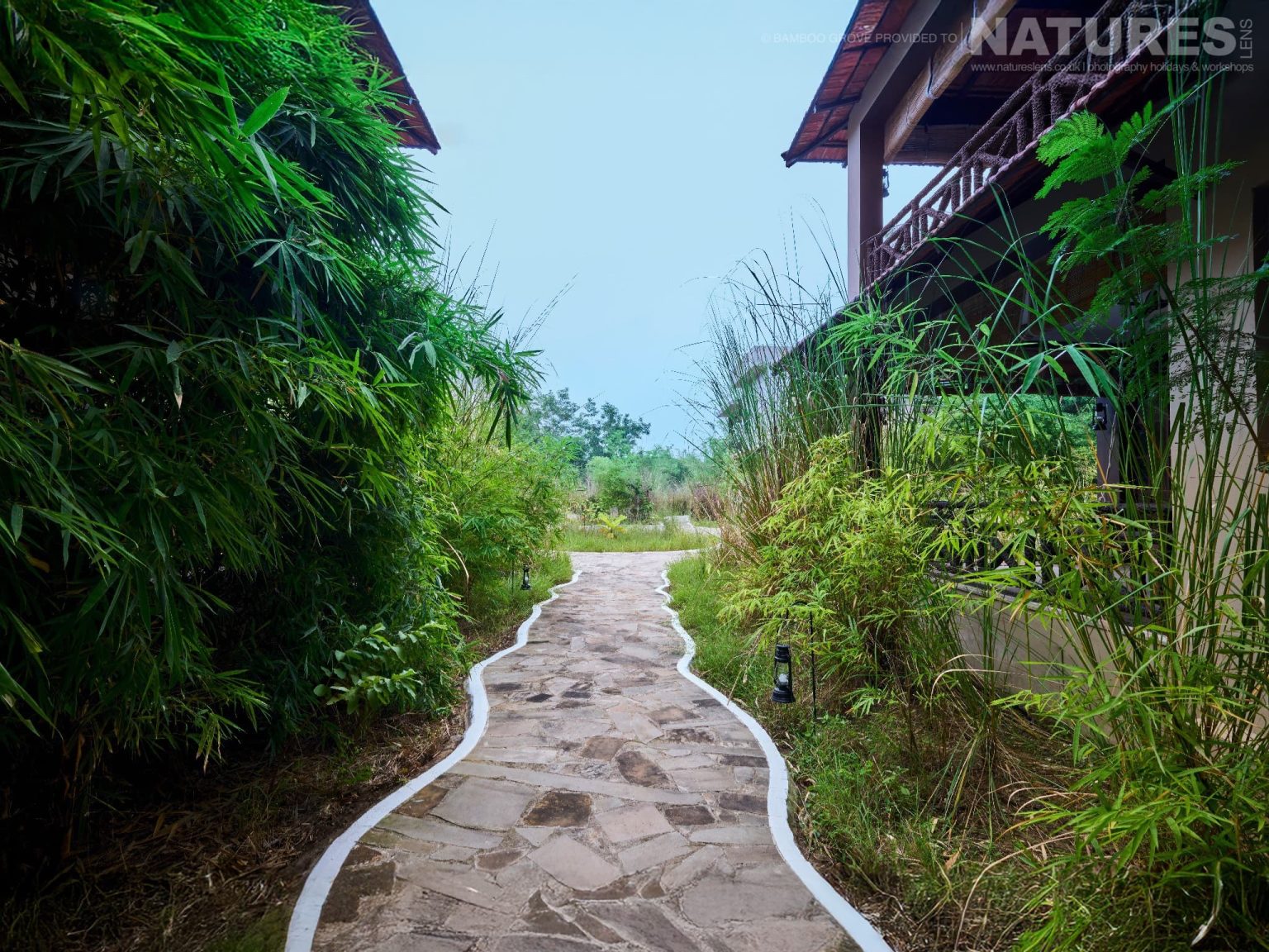 Bamboo Grove - the lodge in Bandhavgarh that NaturesLens are using in 2026