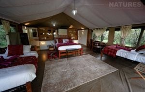 Tembo By Jackson Bush Camp