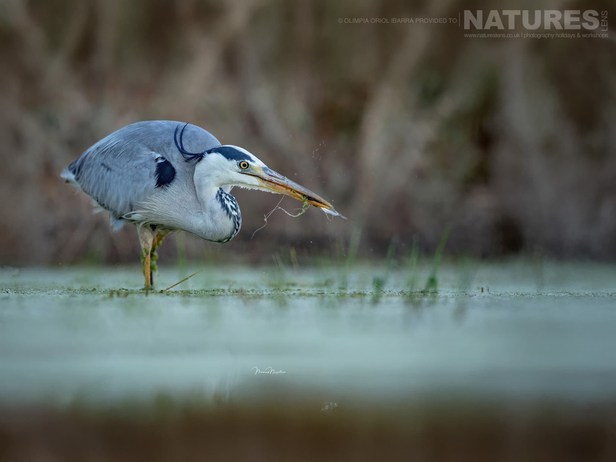 An Example Of The Kind Of Image That May Be Captured During The Hidrohide Sessions An Example Of The Kind Of Image That May Be Captured During The Hidrohide Sessions