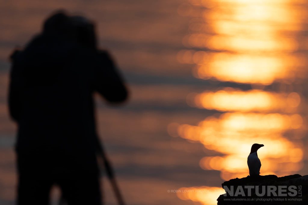 A Photographer Capturing An Image During The Midnight Sun Photographed By Robin Lowry During The Natureslens Puffins Of Iceland Photography Holiday On Grímsey Island