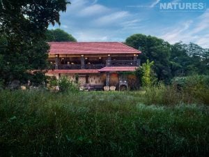 Bamboo Grove – the lodge in Bandhavgarh that NaturesLens are using in 2026 – 22