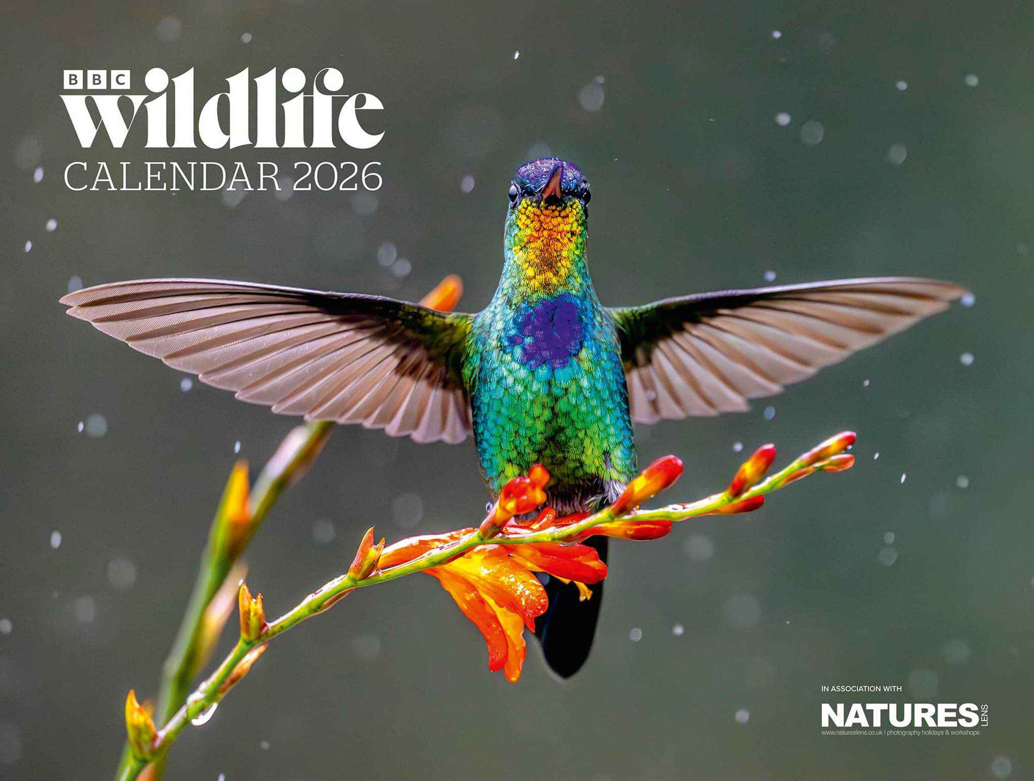 Bbc Wl Calendar Cover The Cover Of The Bbc Wildlife Magazine Calendar That Was Sponsored By Natureslens