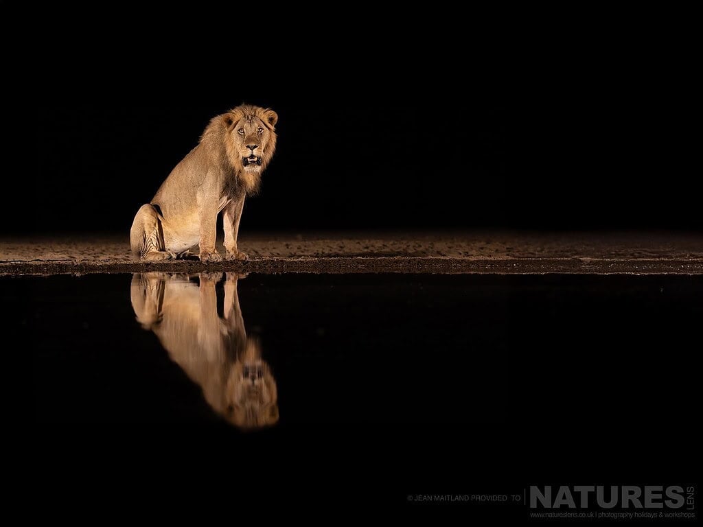 Photograph the Wildlife of Shompole with NaturesLens in 2027