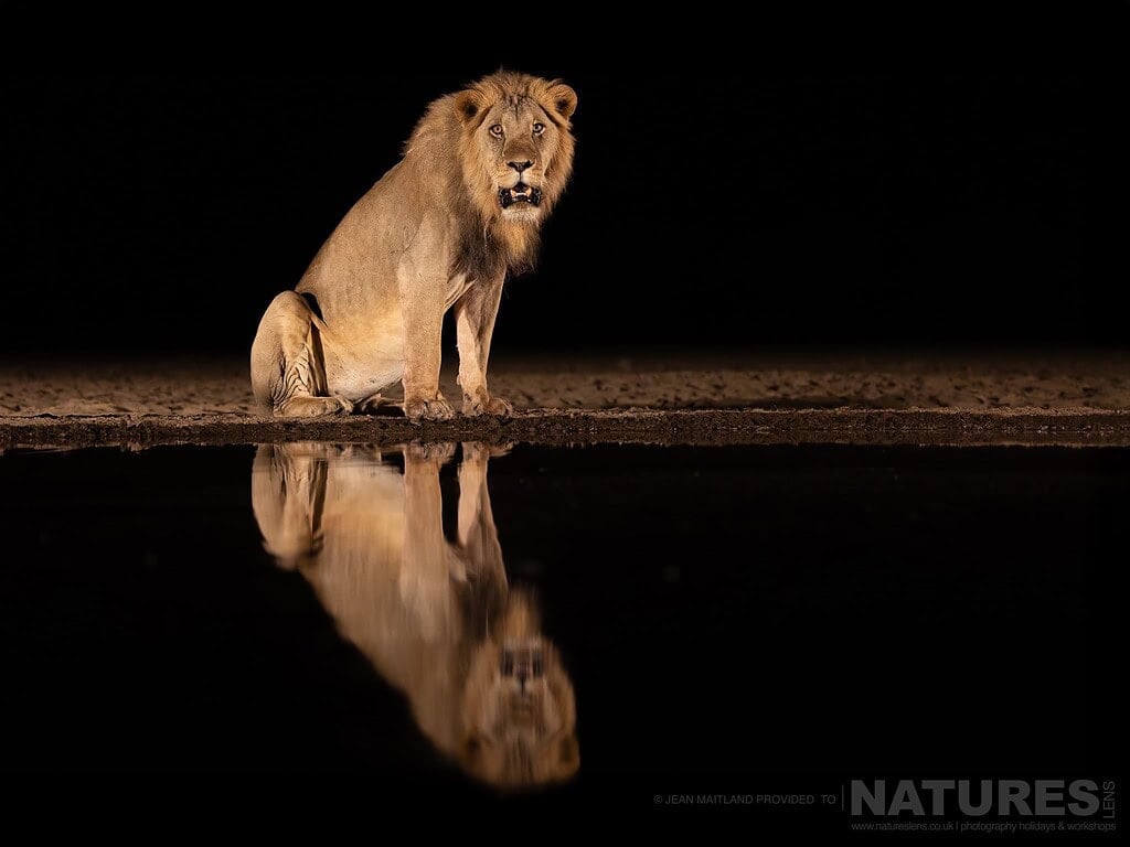 What Can You Hope to Photograph in One Week at Shompole Wilderness? with NaturesLens in